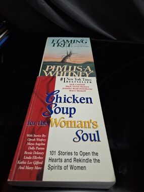 Vintage Mystery & Inspiration Bundle | Phyllis A. Whitney + Chicken Soup